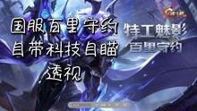 朱哥王者爆料视频大全最新,揭秘最新游戏动态与精彩瞬间