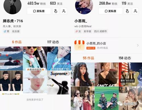 呆雨爆料视频在线观看,揭秘幕后真相，带你走进事件核心