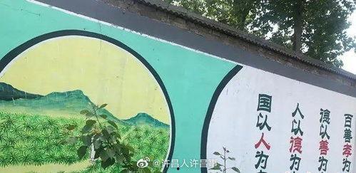 禹州市最新消息爆料新闻,最新爆料揭示惊人真相！