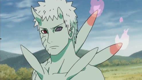 带土仙人爆料视频大全,视频大全背后的惊人真相