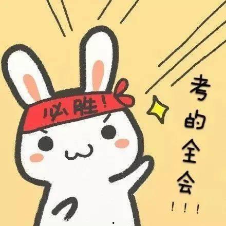 失常在线观看,揭秘网络直播背后的疯狂世界