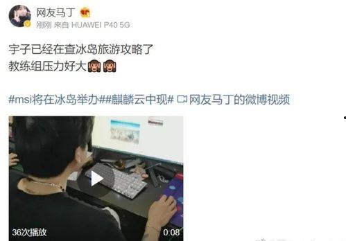 阿布教练爆料视频大全下载,揭秘篮球训练幕后故事