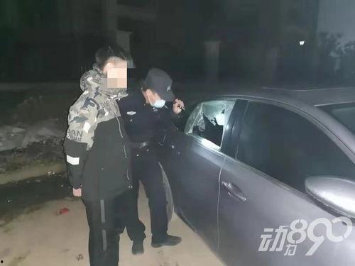 潍坊爆料偷东西事件最新,惊现深夜偷盗事件，警方全力追查真相