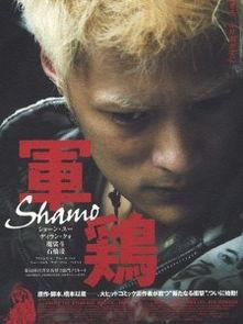 军鸡 在线观看,在线观看，揭秘特种部队的传奇故事