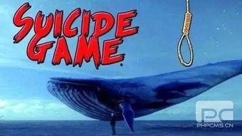 蓝鲸队假赛爆料了吗视频,揭秘背后真相