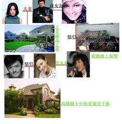 明星爆料感情史最新,明星感情史大揭秘