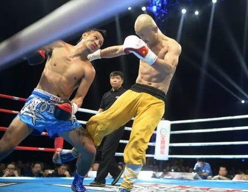 武林风打假拳爆料视频