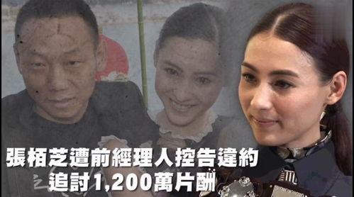 娱乐吃瓜是真是假视频